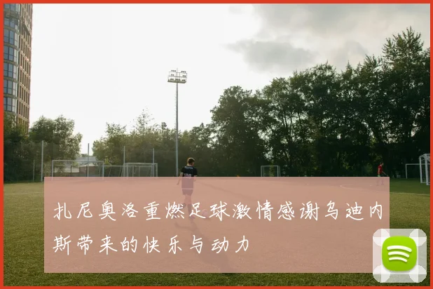 扎尼奥洛重燃足球激情感谢乌迪内斯带来的快乐与动力