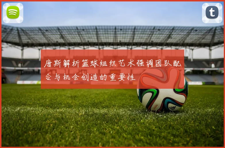 唐斯解析篮球组织艺术强调团队配合与机会创造的重要性